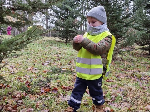 Krmení zvířátek v lese 26.1.2022