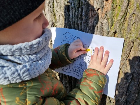 Projektový den Den stromů 08.03.2022