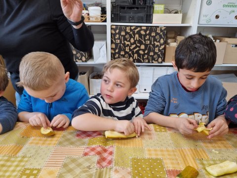 Projektový den - Ekocentrum Brniště, Jak skřítci sázeli semínko 15.3.2022