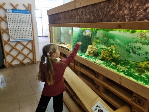 Projektový den ve Veřejném akváriu Česká Lípa 22.3.2022