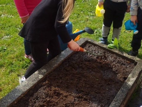 Sázíme hrášek, ředkvičky a kopretiny 06.05.2022