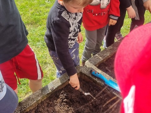 Sázíme hrášek, ředkvičky a kopretiny 06.05.2022