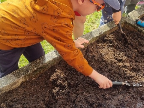 Sázíme hrášek, ředkvičky a kopretiny 06.05.2022