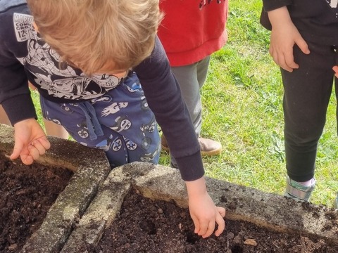 Sázíme hrášek, ředkvičky a kopretiny 06.05.2022