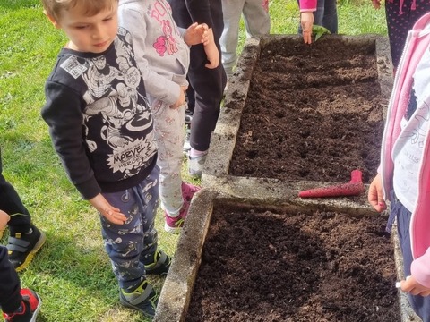 Sázíme hrášek, ředkvičky a kopretiny 06.05.2022