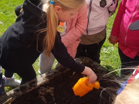 Sázíme hrášek, ředkvičky a kopretiny 06.05.2022