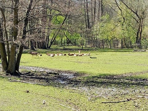 Přírodovědná exkurze - OBORA Skalice u České Lípy