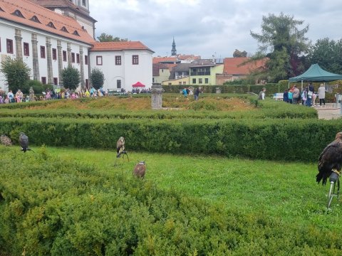 Den zvířat, Muzeum Česká Lípa 06.10.2022