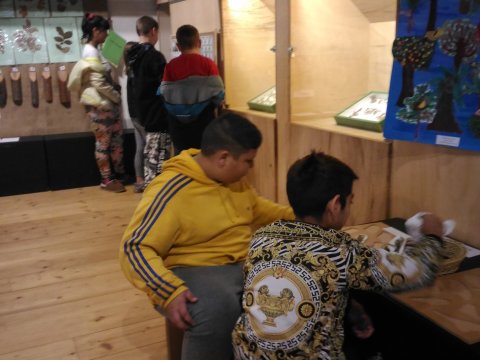 Městské muzeum v Mimoni