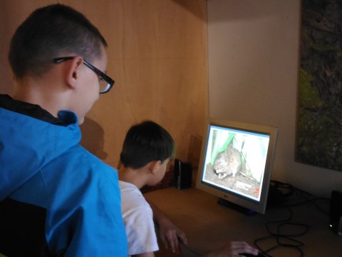 Městské muzeum v Mimoni
