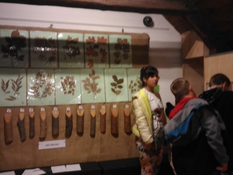 Městské muzeum v Mimoni
