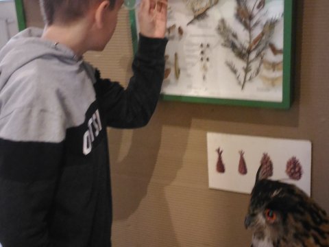 Městské muzeum v Mimoni