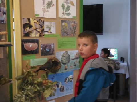 Městské muzeum v Mimoni