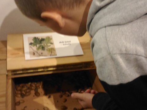 Městské muzeum v Mimoni