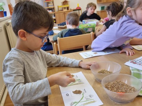 Projektový den - Semínko se probudilo 06.03.2023