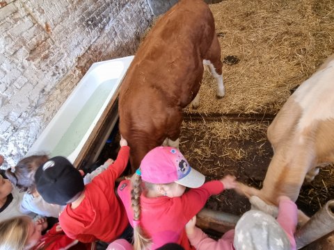 Výlet do Ekocentra Brniště - Užitková zvířátka 04.05.2023