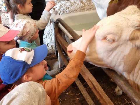 Výlet do Ekocentra Brniště - Užitková zvířátka 04.05.2023