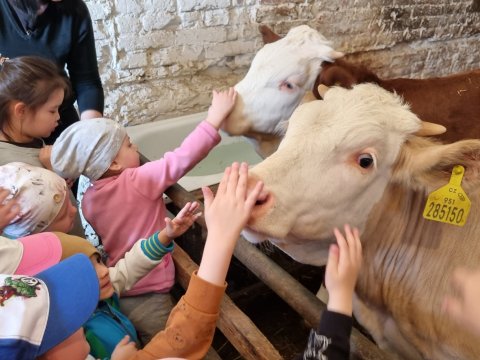 Výlet do Ekocentra Brniště - Užitková zvířátka 04.05.2023