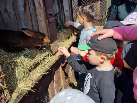 Výlet do Ekocentra Brniště - Užitková zvířátka 04.05.2023