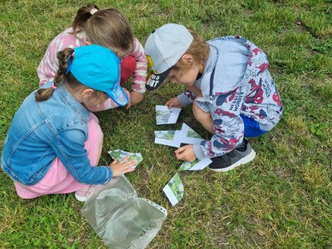 Závěrečná hodina Ekologie v městském parku 20.06.2023