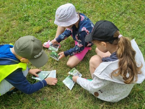 Závěrečná hodina Ekologie v městském parku 20.06.2023