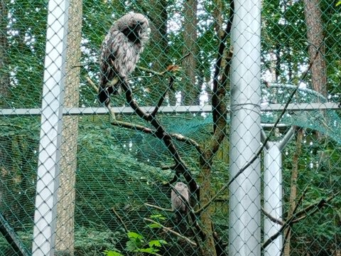 ZOO Děčín - třída 7.A