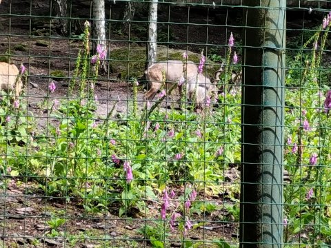 ZOO Děčín - třída 7.A