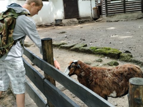 ZOO Děčín - třída 7.A