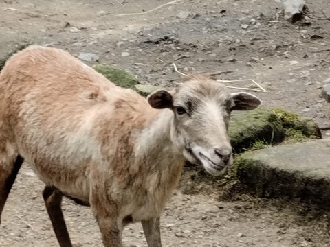 ZOO Děčín - třída 7.A