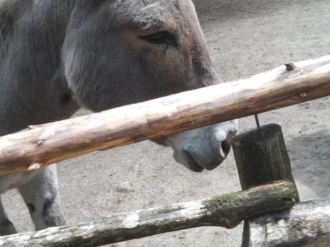 ZOO Děčín - třída 7.A