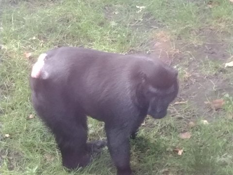 ZOO Děčín - třída 7.A