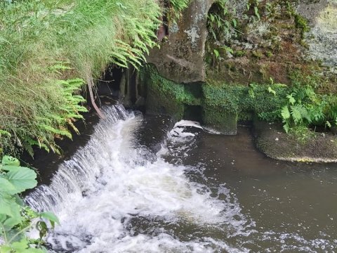 Třídní výlet třídy 6.A - stanování Velenice