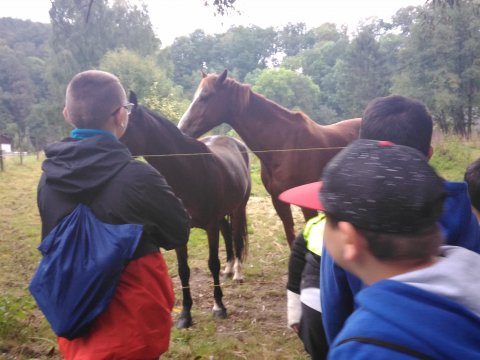 Obora ve Skalici