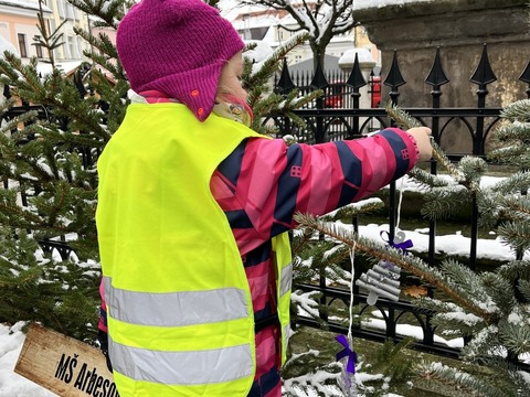 Zdobení vánočního stromku na náměstí T.G.M 01.12.2023