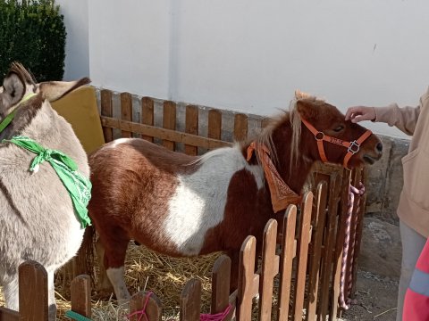 Den zvířat - Klášterní zahrada