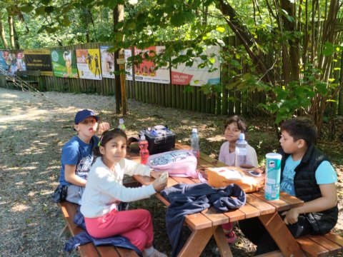 ZOO Děčín - Domácí zvířata v ZOO 1.A, 2.A