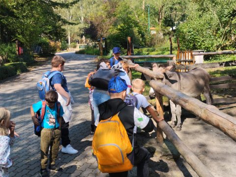 ZOO Děčín - Domácí zvířata v ZOO 1.A, 2.A