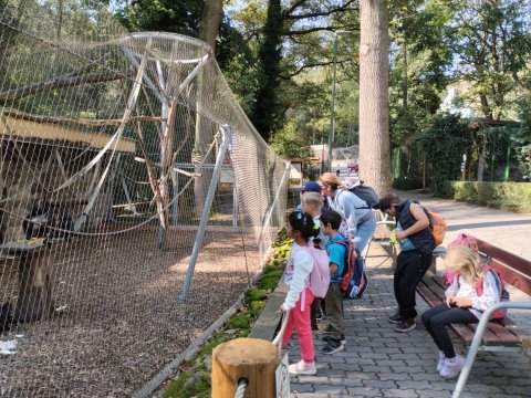 ZOO Děčín - Domácí zvířata v ZOO 1.A, 2.A