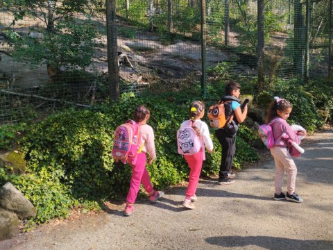 ZOO Děčín - Domácí zvířata v ZOO 1.A, 2.A