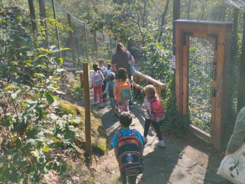 ZOO Děčín - Domácí zvířata v ZOO 1.A, 2.A