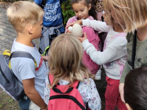 ZOO Děčín - Domácí zvířata v ZOO 1.A, 2.A