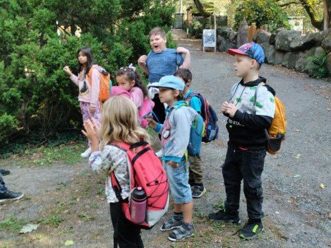 ZOO Děčín - Domácí zvířata v ZOO 1.A, 2.A