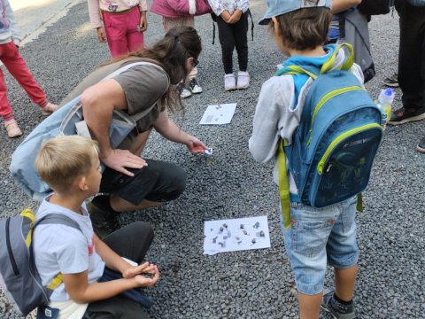 ZOO Děčín - Domácí zvířata v ZOO 1.A, 2.A