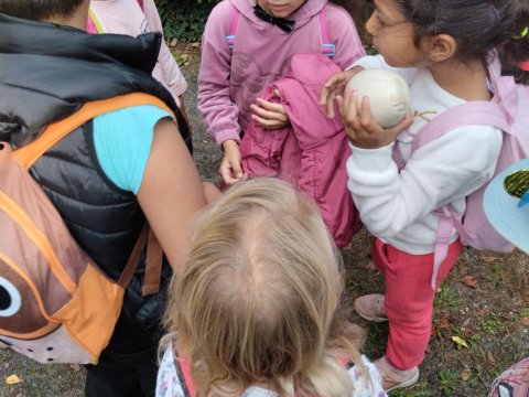 ZOO Děčín - Domácí zvířata v ZOO 1.A, 2.A