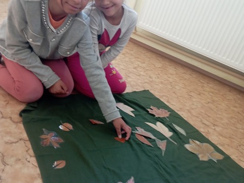 Za tajemstvím lesa s vílou 1.A, 2.A