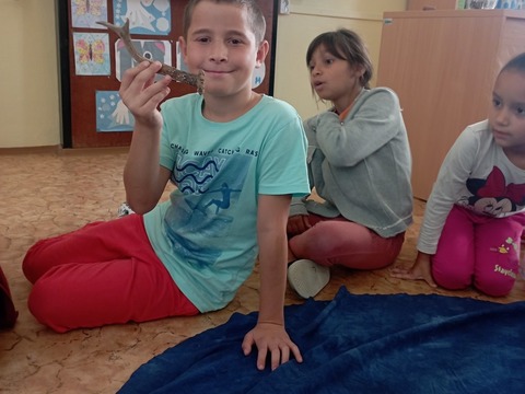Za tajemstvím lesa s vílou 1.A, 2.A