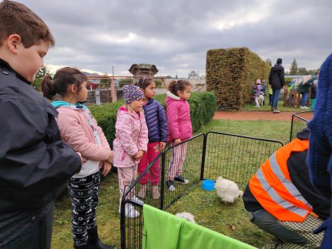 VLASTIVĚDNÉ MUZEUM-OSLAVY DNE ZVÍŘAT 2024 1.A