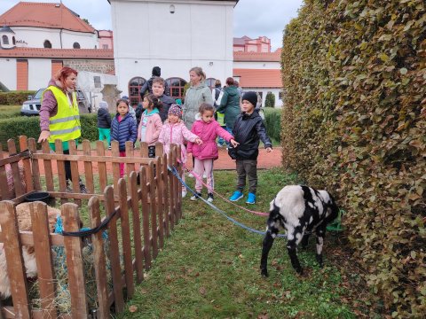 VLASTIVĚDNÉ MUZEUM-OSLAVY DNE ZVÍŘAT 2024 1.A