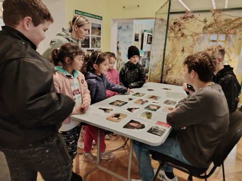 VLASTIVĚDNÉ MUZEUM-OSLAVY DNE ZVÍŘAT 2024 1.A