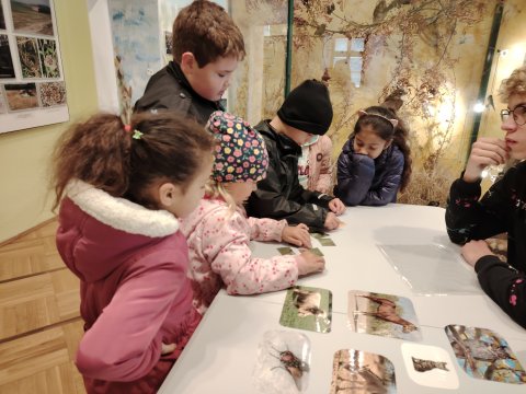 VLASTIVĚDNÉ MUZEUM-OSLAVY DNE ZVÍŘAT 2024 1.A